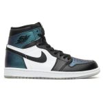 air_jordan_1_retro_high_og__all_star___chameleon___0_38525.jpeg