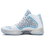 air_jordan_29_11_retro__ultimate_gift_of_flight_pa_0_61405-1.jpeg