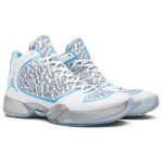 air_jordan_29_11_retro__ultimate_gift_of_flight_pa_0_61405-1.jpeg