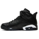 air_jordan_6_retro__black_cat__384664_020_0_63909-1.jpeg